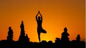 IDY2024 Yoga Destinations And Gurus​