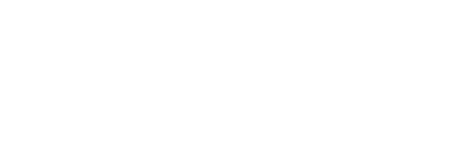 WorldMiTR Logo
