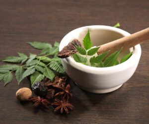 Ayurveda Mudra wellness